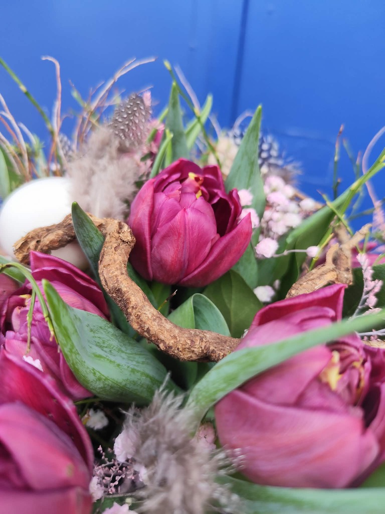 Tulipánový detail - Kvety Splendor