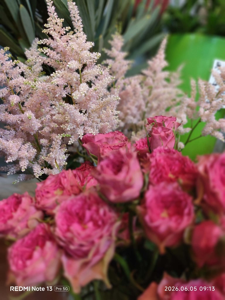 Astilbe a ruže - Kvety Splendor